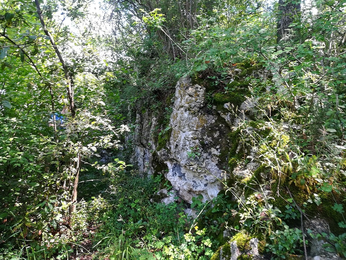 Sant’Eleuterio: fonte, monastero, eremo ed oratorio