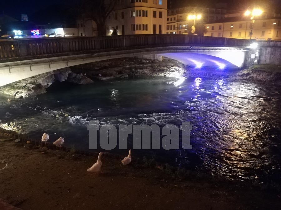 Domenica 17 il Ponte Romano si colora di viola per celebrare la Giornata Mondiale della Prematurità