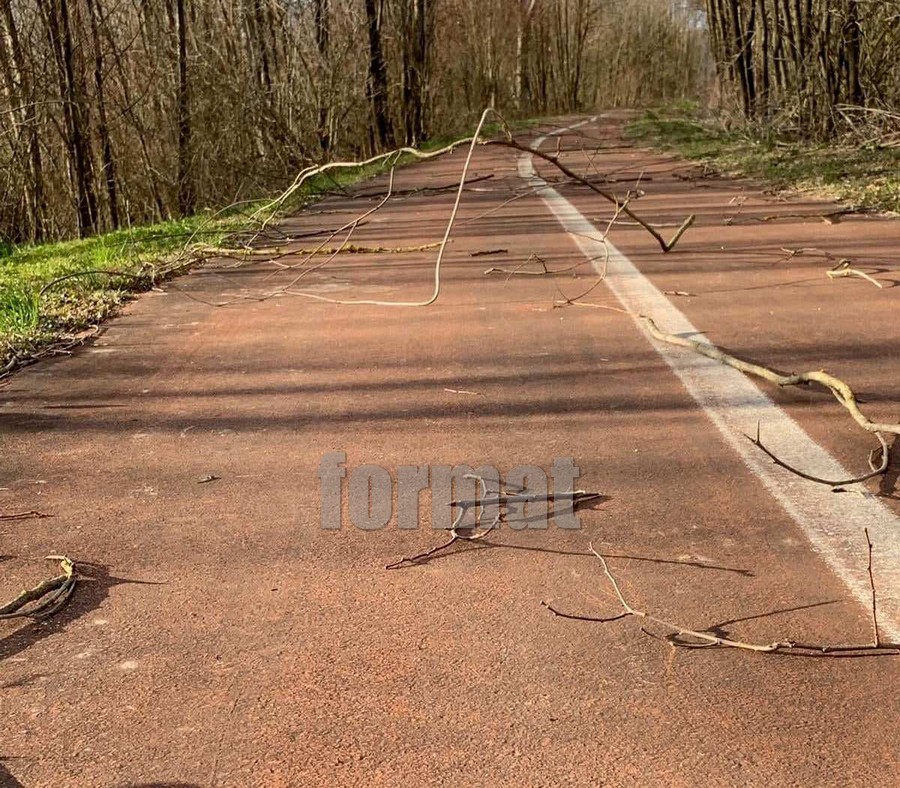 Nel Lazio allerta gialla: forti venti dalla tarda serata di venerdì
