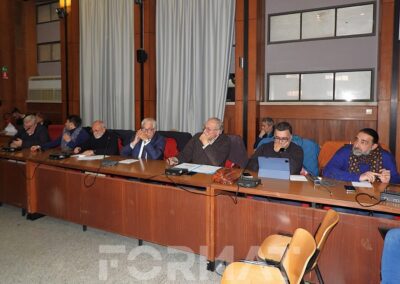 assemblea sindaci provincia