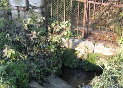 Fonte Sant'AEleuterio03