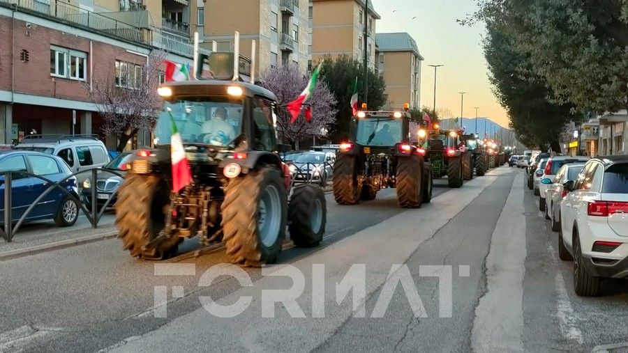 Confagricoltura Rieti – Viterbo: “Agricoltura in crisi, a breve tornano i trattori”