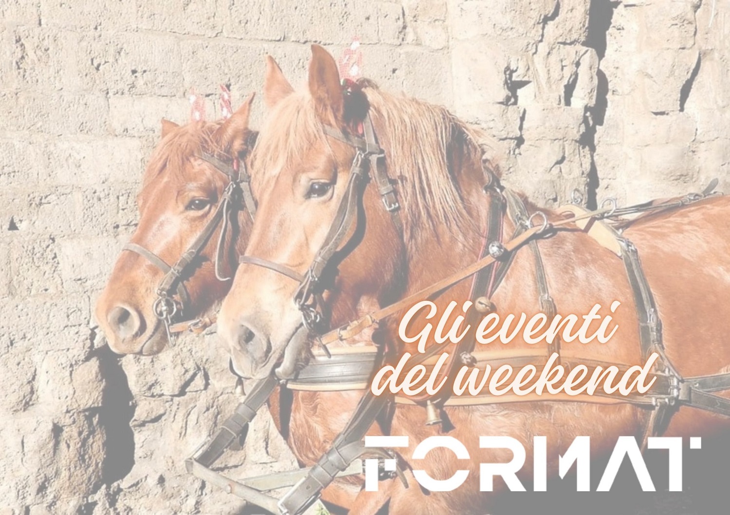 Non sai cosa fare nel weekend? Ecco i consigli di Format