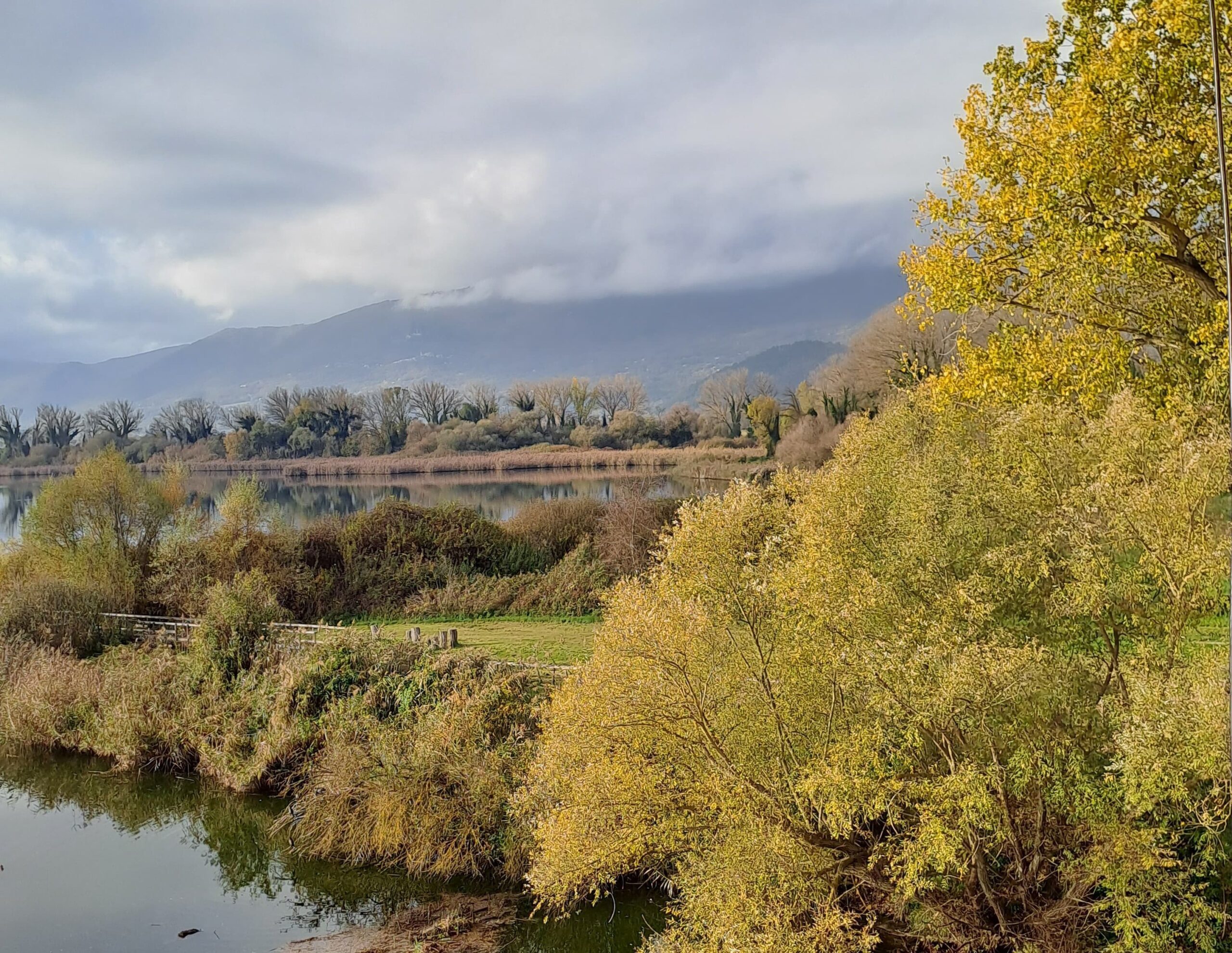 Primavera in Riserva: la “scienza dei cittadini” arriva alla Riserva Naturale Laghi Lungo e Ripasottile