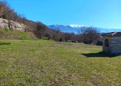 Villa Quinto Assio (1)