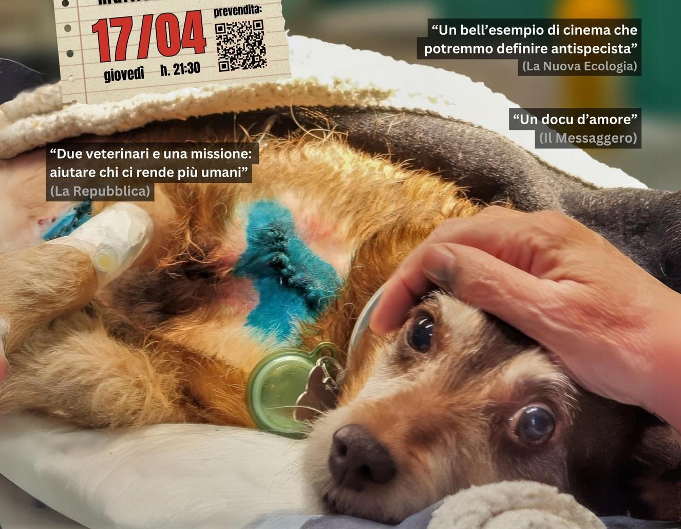 ‘Altri animali’:  il 17 aprile il documentario verrà proiettato a Rieti presso la Multisala Moderno