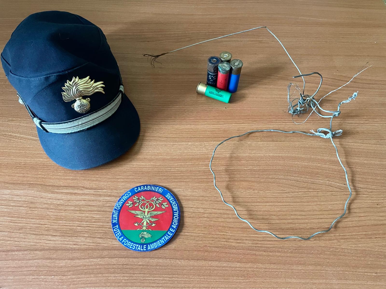 Bracconiere nei guai: trappole illegali, armi modificate e sostanze sospette scoperte dai Carabinieri Forestali