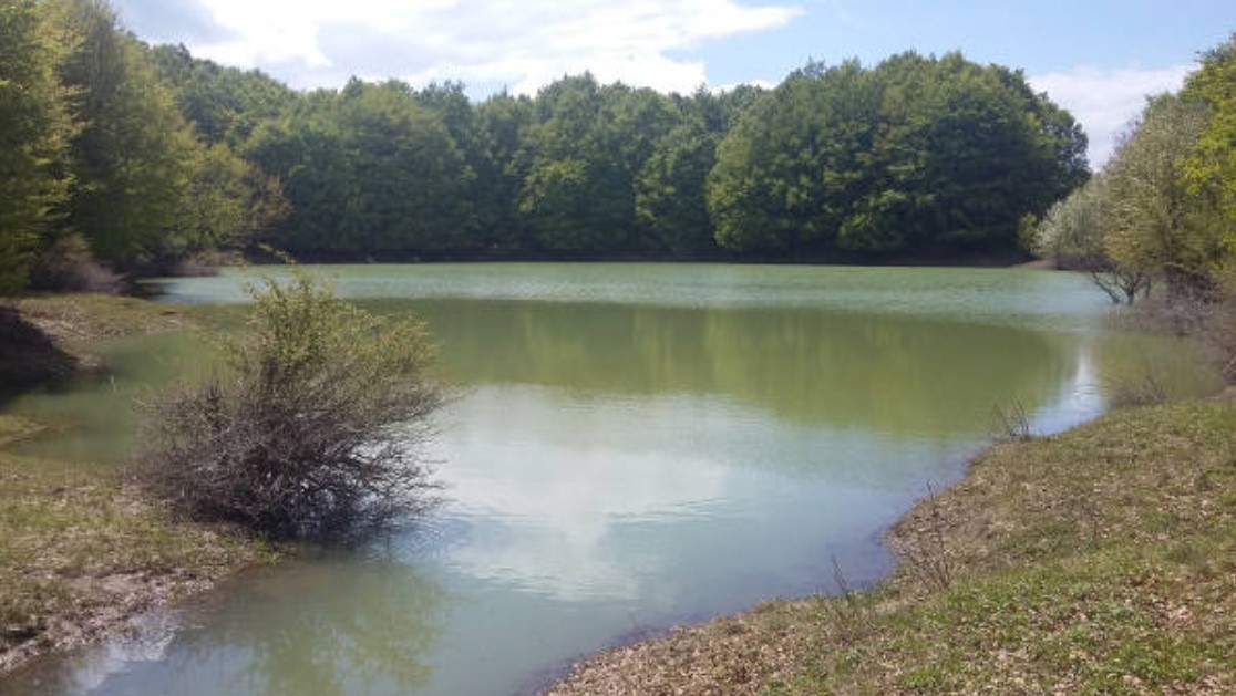 WWF e Radici Accumolesi Organizzano Visita all’Oasi di Lago Secco: iscrizioni entro il 22 maggio