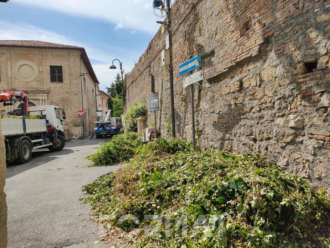 pulizia muro di cinta via san pietro martire ph M.Festuccia
