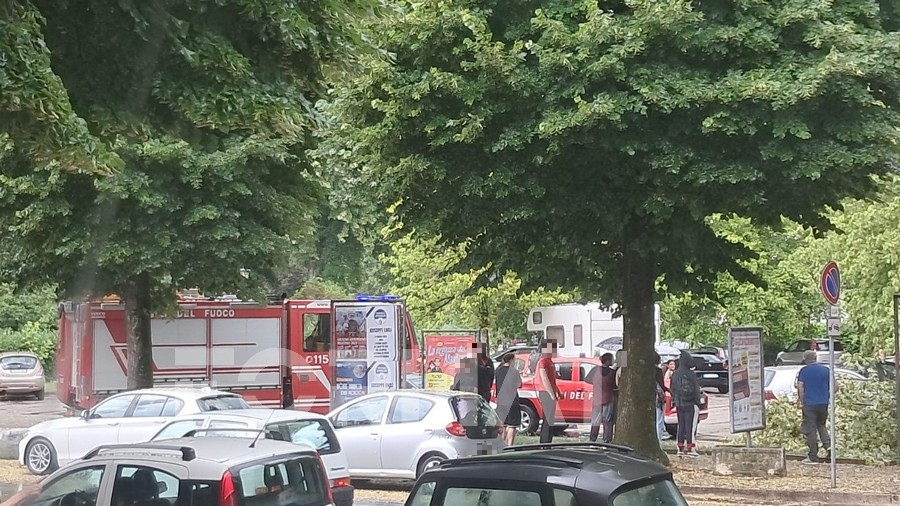 Vento forte e temporale: albero cade su auto in sosta. Donna intrappolata