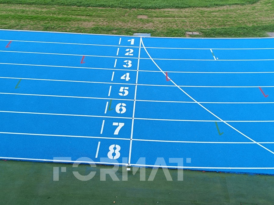 guidobaldi 6