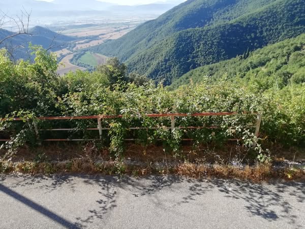 Moggio Reatino, Associazione La Montagnola: “Come muore una frazione!”