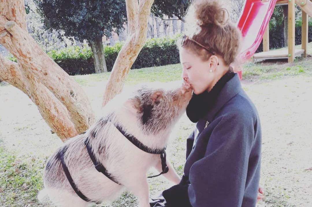 “Mi vogliono portare via Bacon, il mio maialino vietnamita domestico”: l’appello di Consuelo