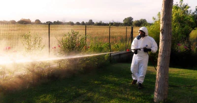West Nile, ecco le zone interessate dalla disinfestazione nella notte tra il 30 e il 31 luglio