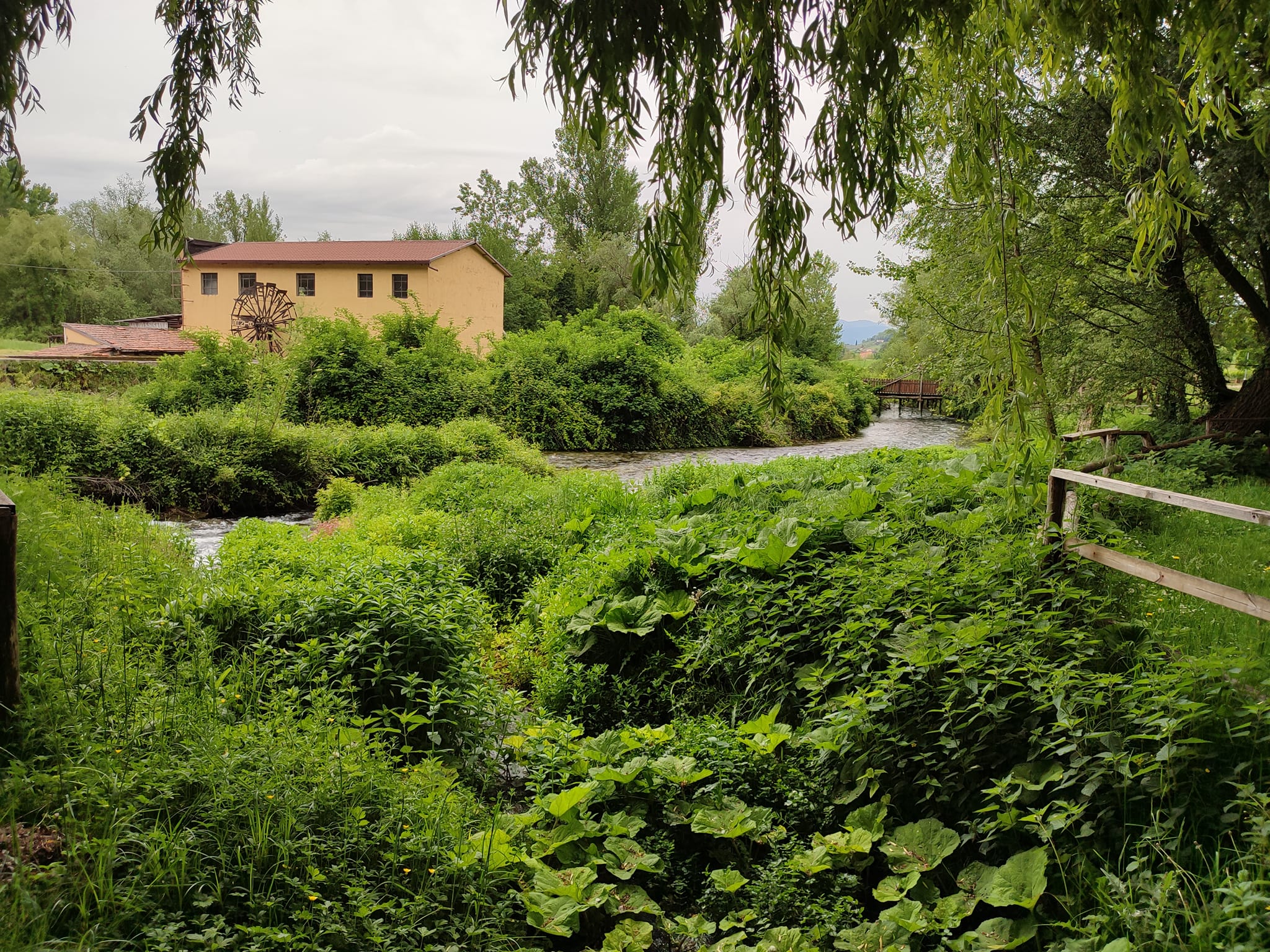 Estemporanea di pittura alla Riserva Naturale dei Laghi Lungo e Ripasottile