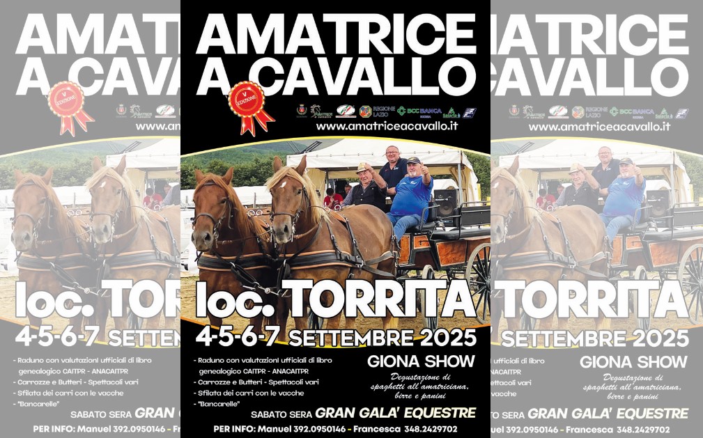 Fiera mercato amatrice a cavallo