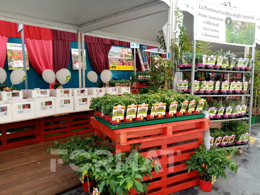 Fiera Mondiale del Peperoncino: ecco tutto il programma di lunedì 1 settembre
