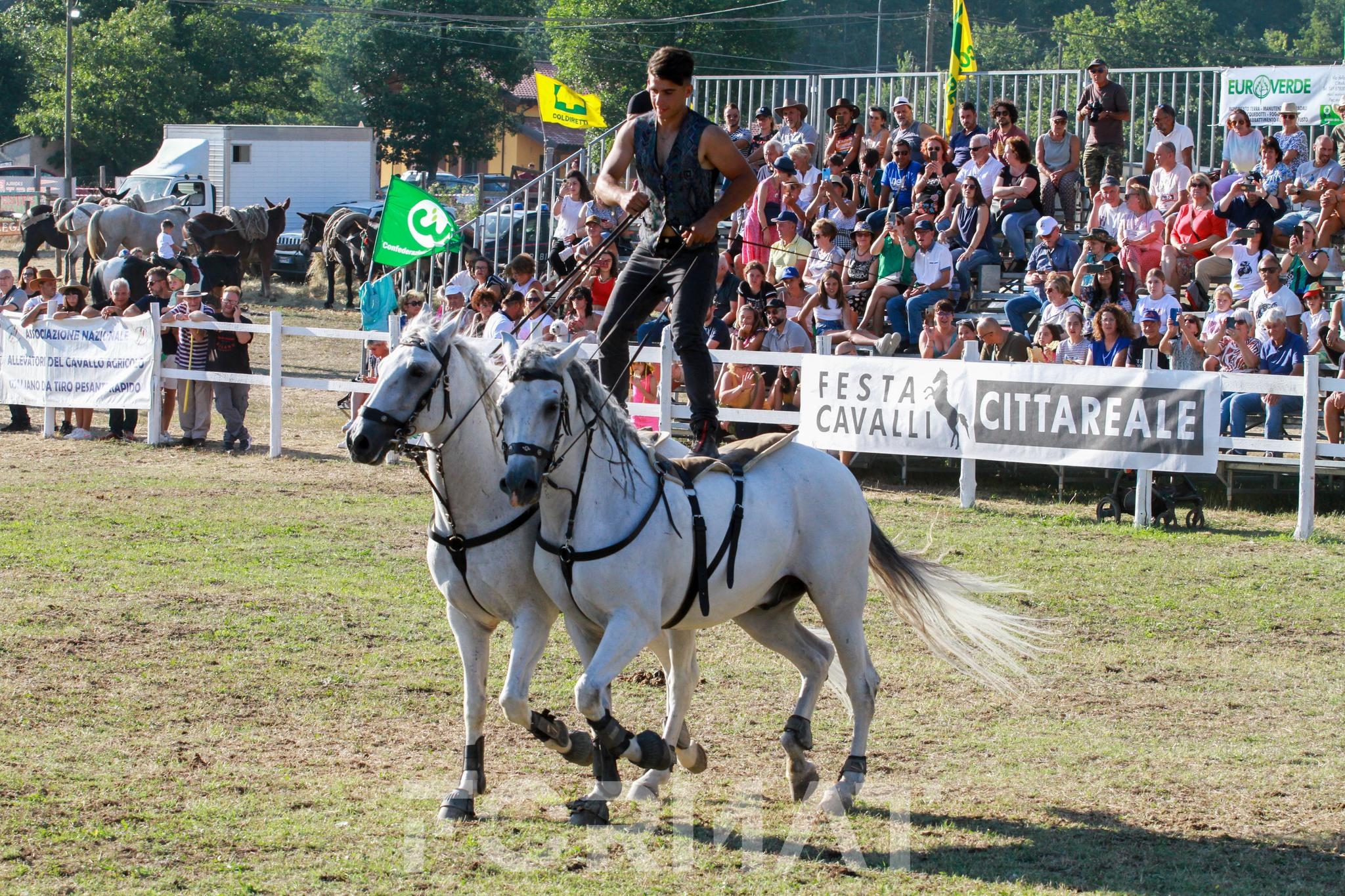 Festa Cavalli a Cittareale: spettacoli equestri, valutazioni ANACAITPR, carrozze, butteri e tradizioni popolari