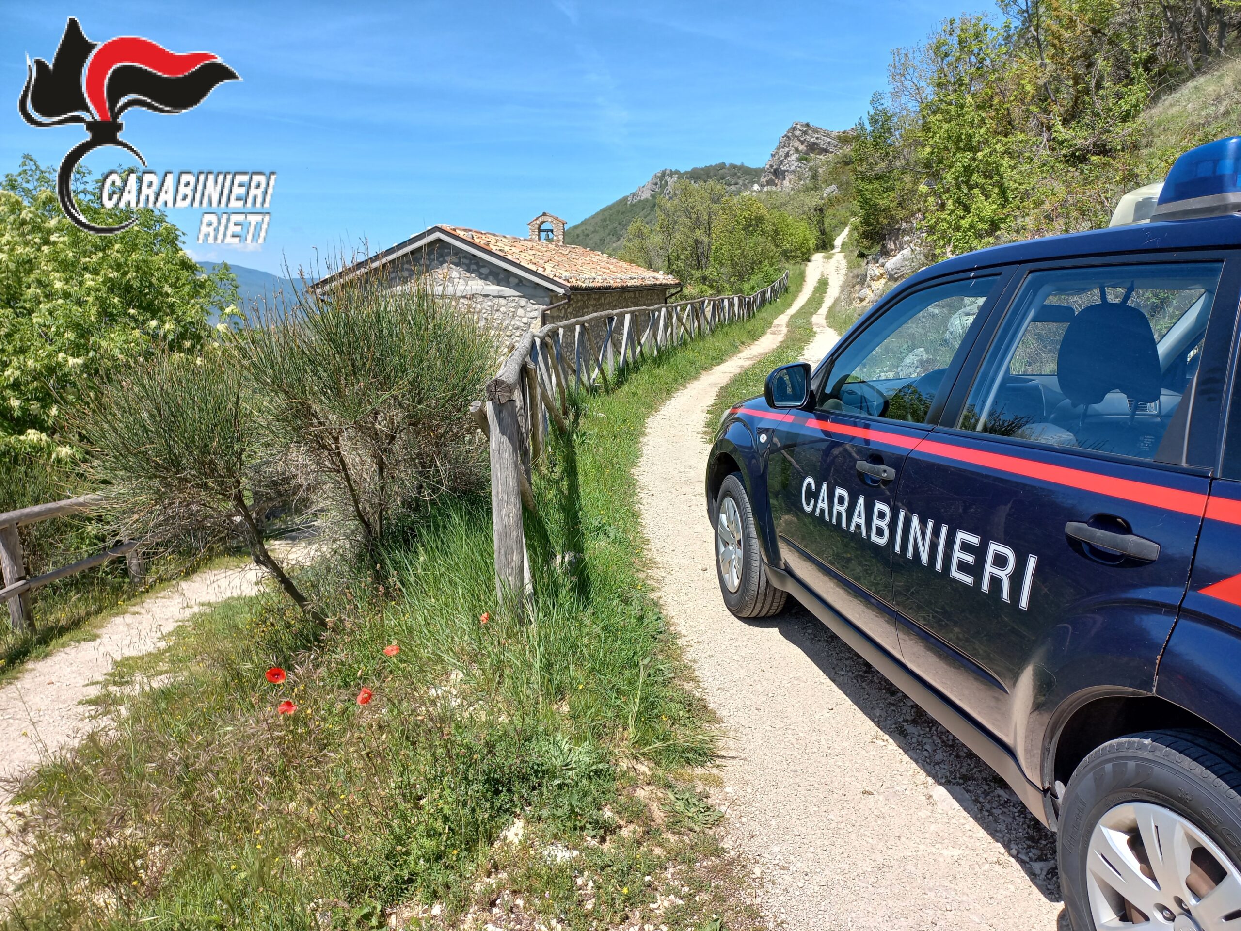 Uomo arrestato per rapina impropria e tentato investimento