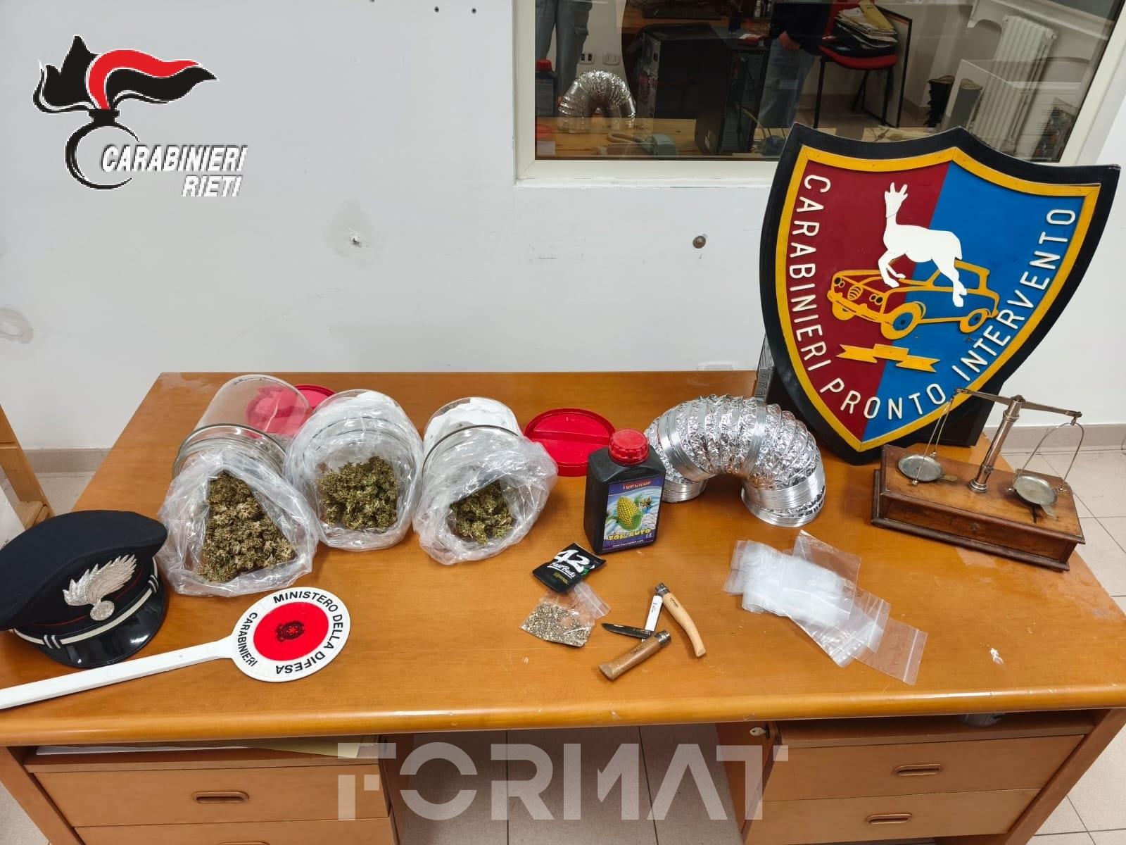 Laboratorio di marijuana nascosto in un capannone: 44enne finisce agli arresti domiciliari