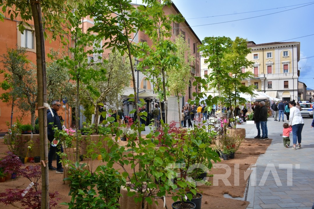 Rieti in Fiore 2026: il centro storico torna a fiorire dall’8 al 10 maggio