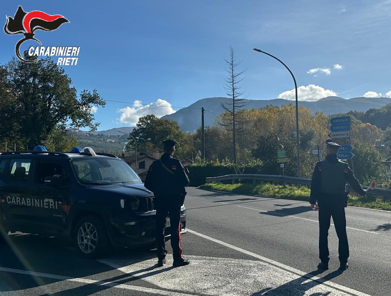 I Carabinieri arrestano due persone e ne denunciano una terza  per furto aggravato in concorso