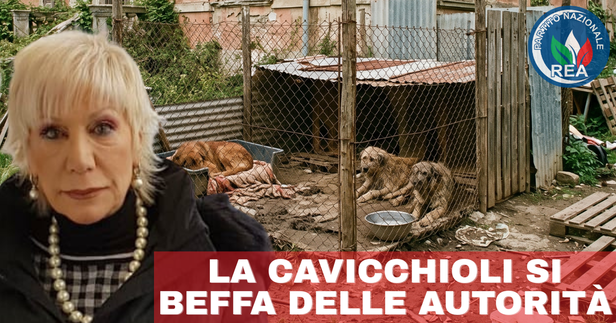 La Cavicchioli si beffa delle autorità: ancora animali all’indomani del sequestro