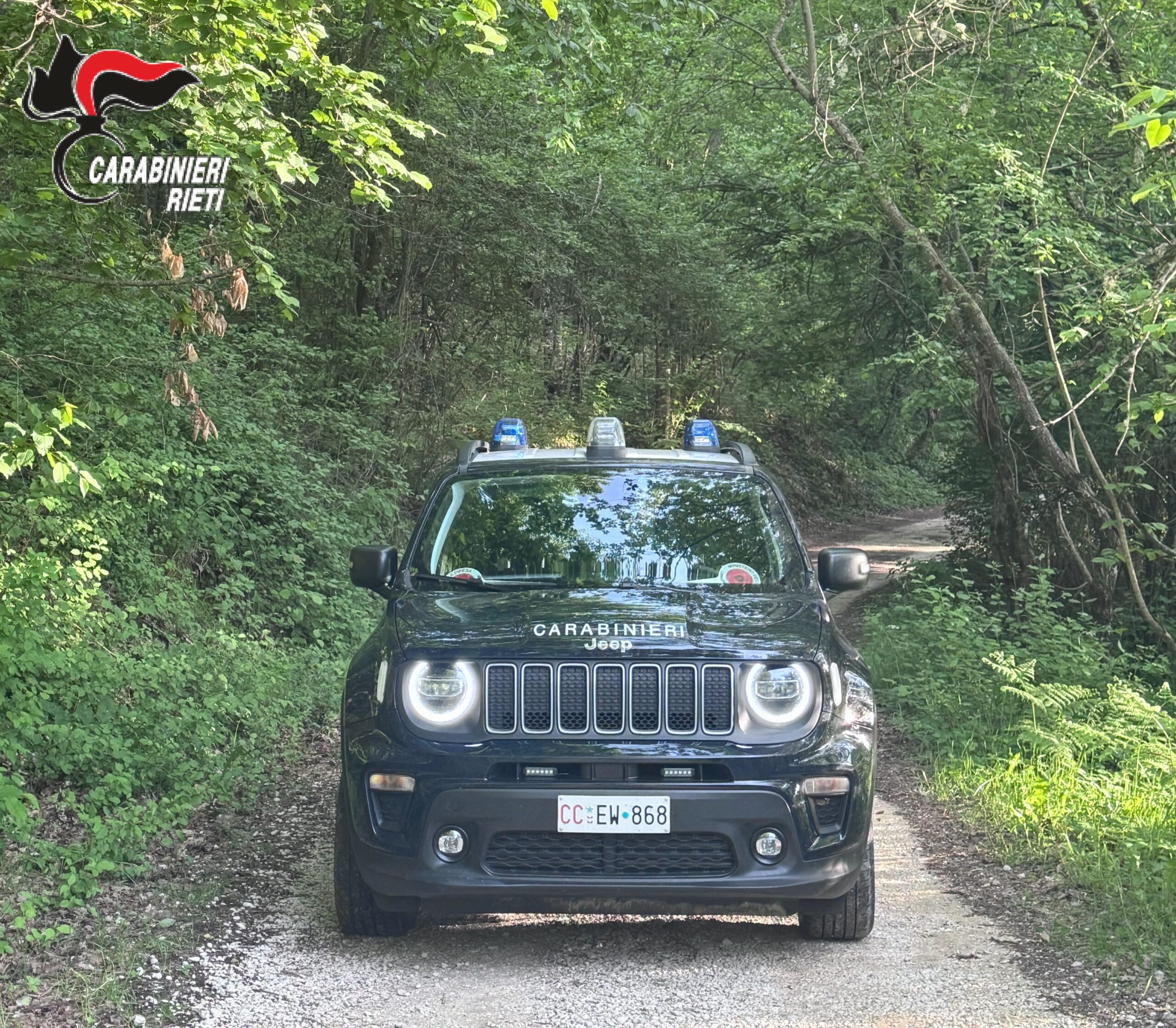 Sottraggono una borsa in un bar e prelevano contanti con il bancomat della vittima: i Carabinieri denunciano due giovani