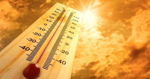 caldo-1 (1)