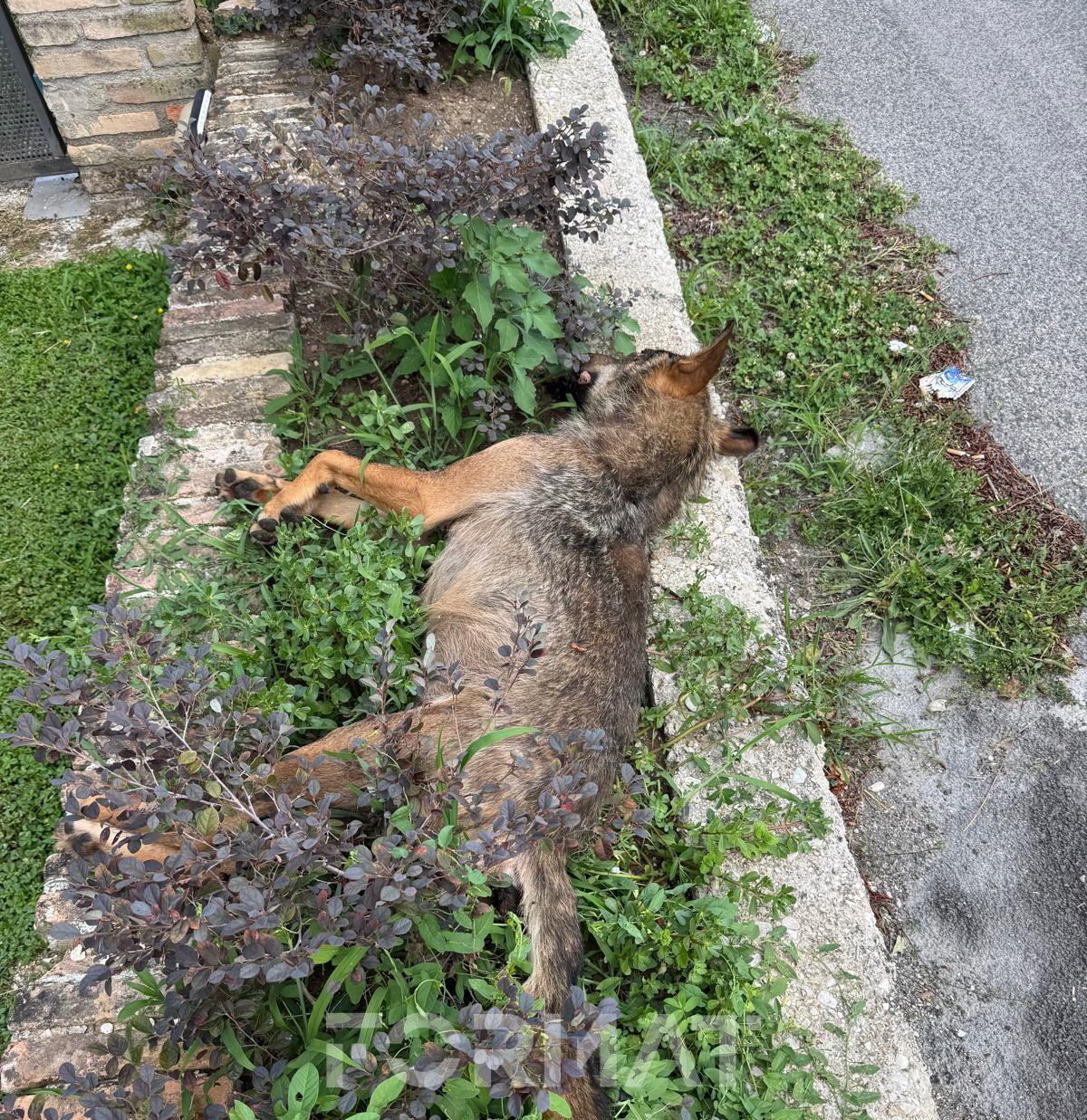 WhatsApp Image 2026-07-06 at 00.19.23