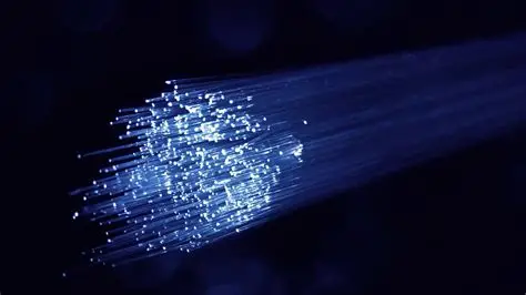 fibra ottica borgorose senza connessione