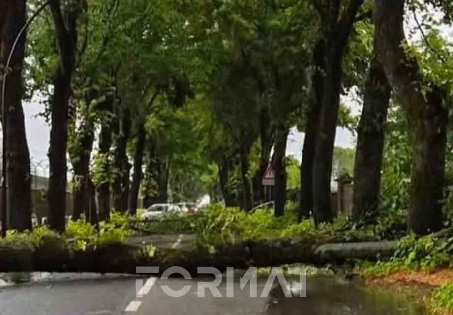 Maltempo: aperto il COC per le segnalazioni dei cittadini e il coordinamento delle attività. Impegnate tutte le squadre comunali e Asm