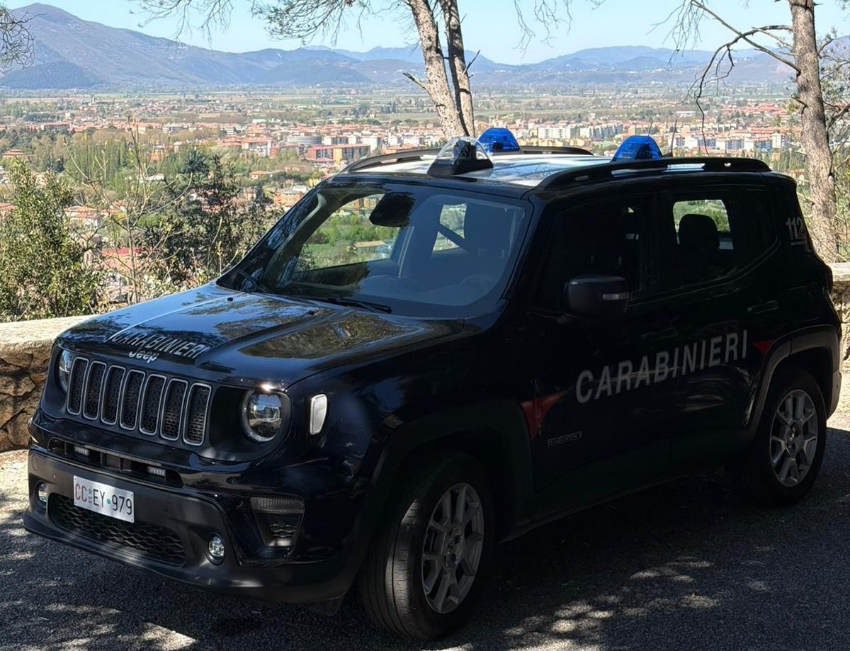 Truffa online nel noleggio auto: denunciata una donna