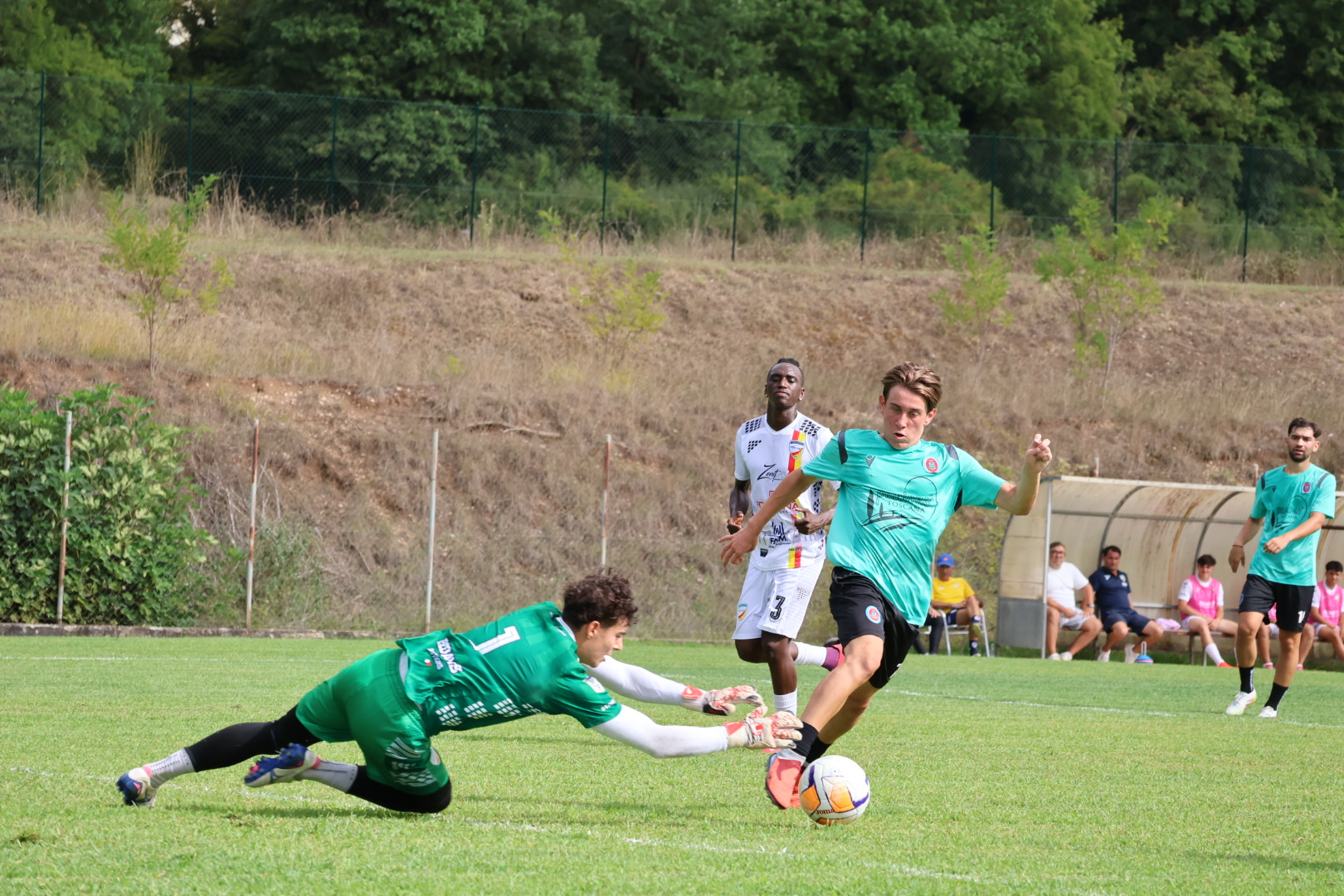 Samuele Fabrizi