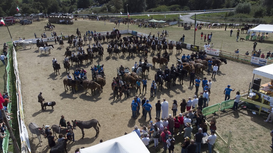 Amatrice a cavallo 6 edizione Amatrice a cavallo 6 edizione