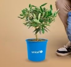 “Un Ulivo Per Vederli Crescere”: c’è tempo fino Al 30 ottobre per ritirare le piantine dell’Unicef