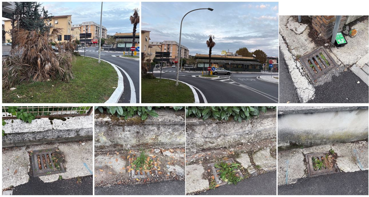 Città Giardino, la segnalazione: “PNRR: Piano Nazionale Radici e Rampicanti”